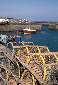 johnshaven harbour