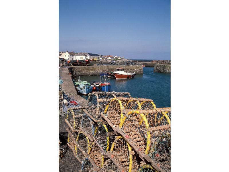 johnshaven harbour